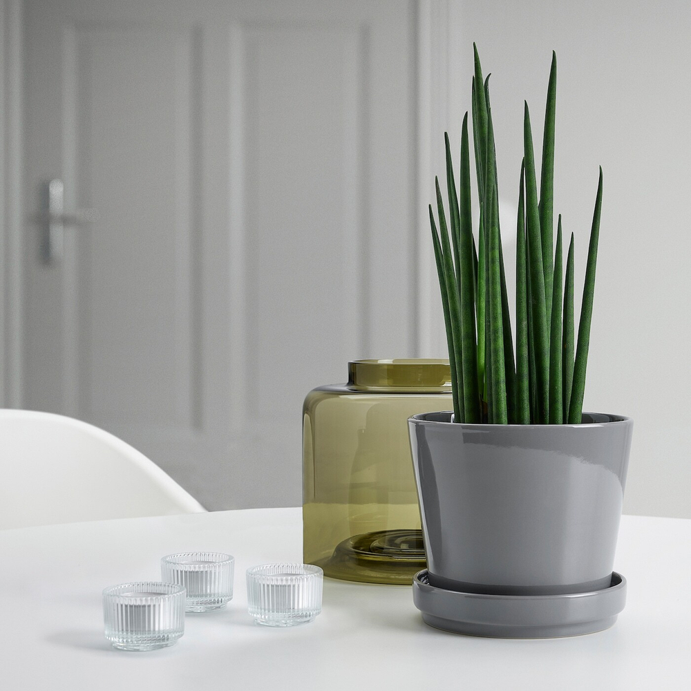 IKEA CITRUSFRUKT  (ИКЕА СИТРУСФРУКТ)  -  Цветочный горшок с подставкой, серый, 12 см