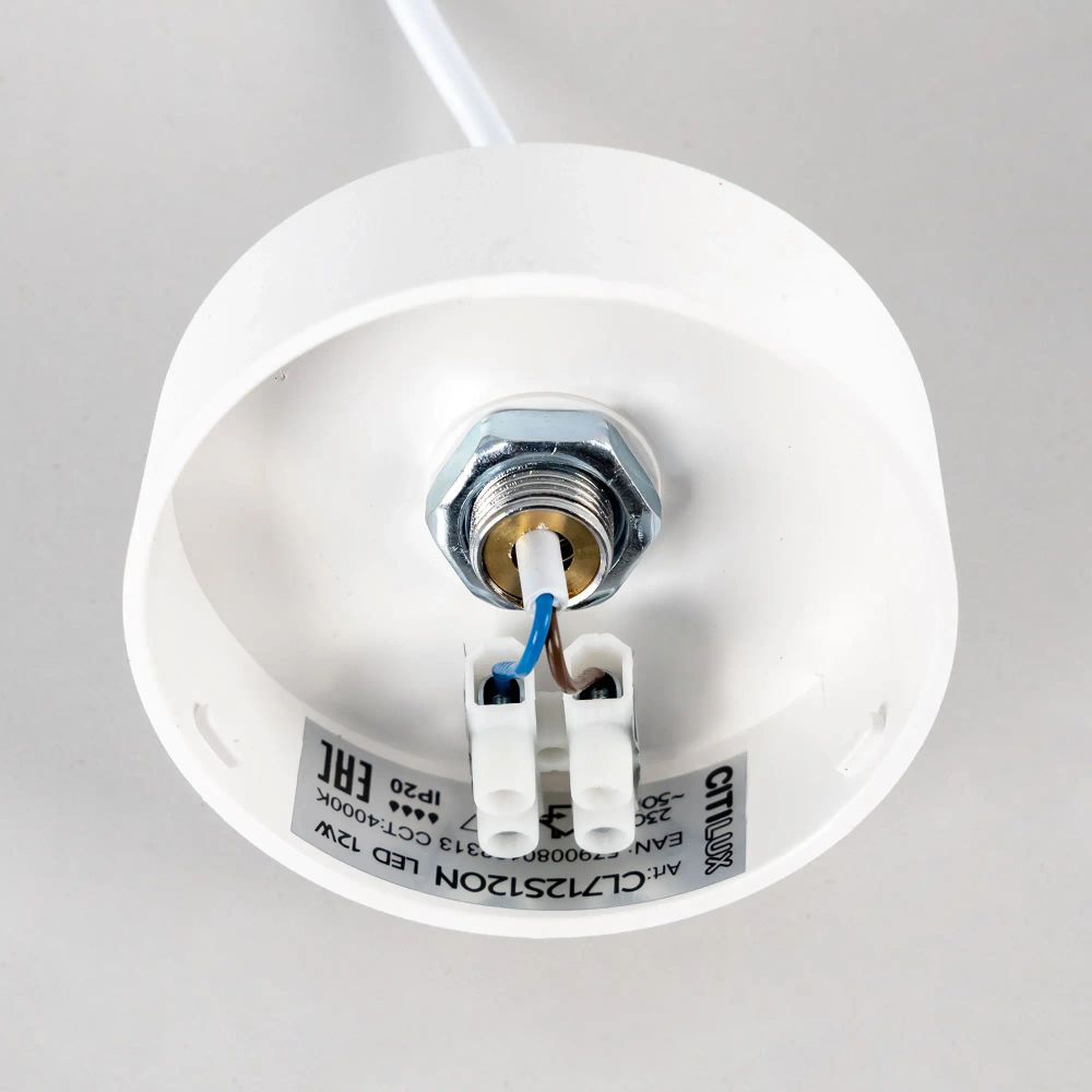 Citilux Тао CL712S120N LED Подвесной светильник с диммером