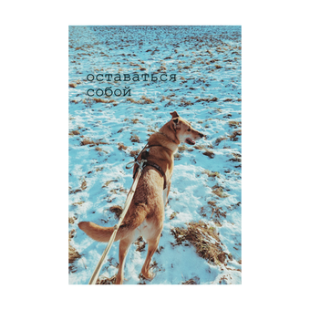 Открытка «Оставаться собой» (100 ₽)