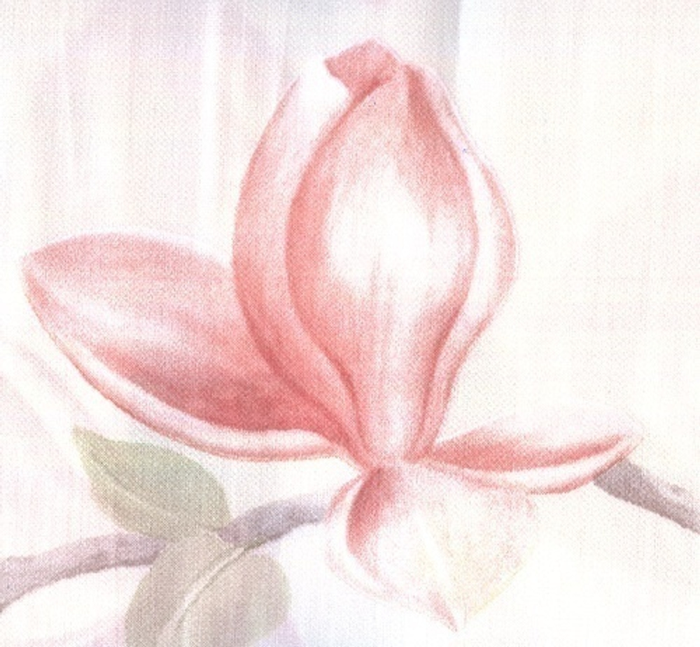 Пододеяльник 200x200 Elegante Magnolie бежевый Германия