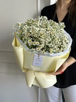 Букет сборный из гипсофилы и ромашки