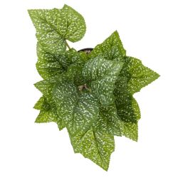 GAEM Цветочная композиция, L25 W25 H30 см, 5в.