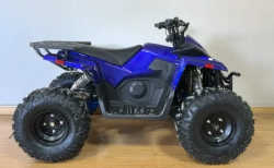Квадроцикл Green Camel Атакама T630 (72V 2000W R8)