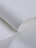 Обои Rasch Wallton 177602