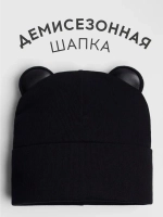 Шапка для мальчика осенняя с ушками