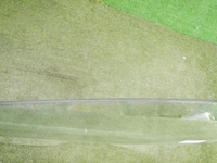 DSCN7562.JPG