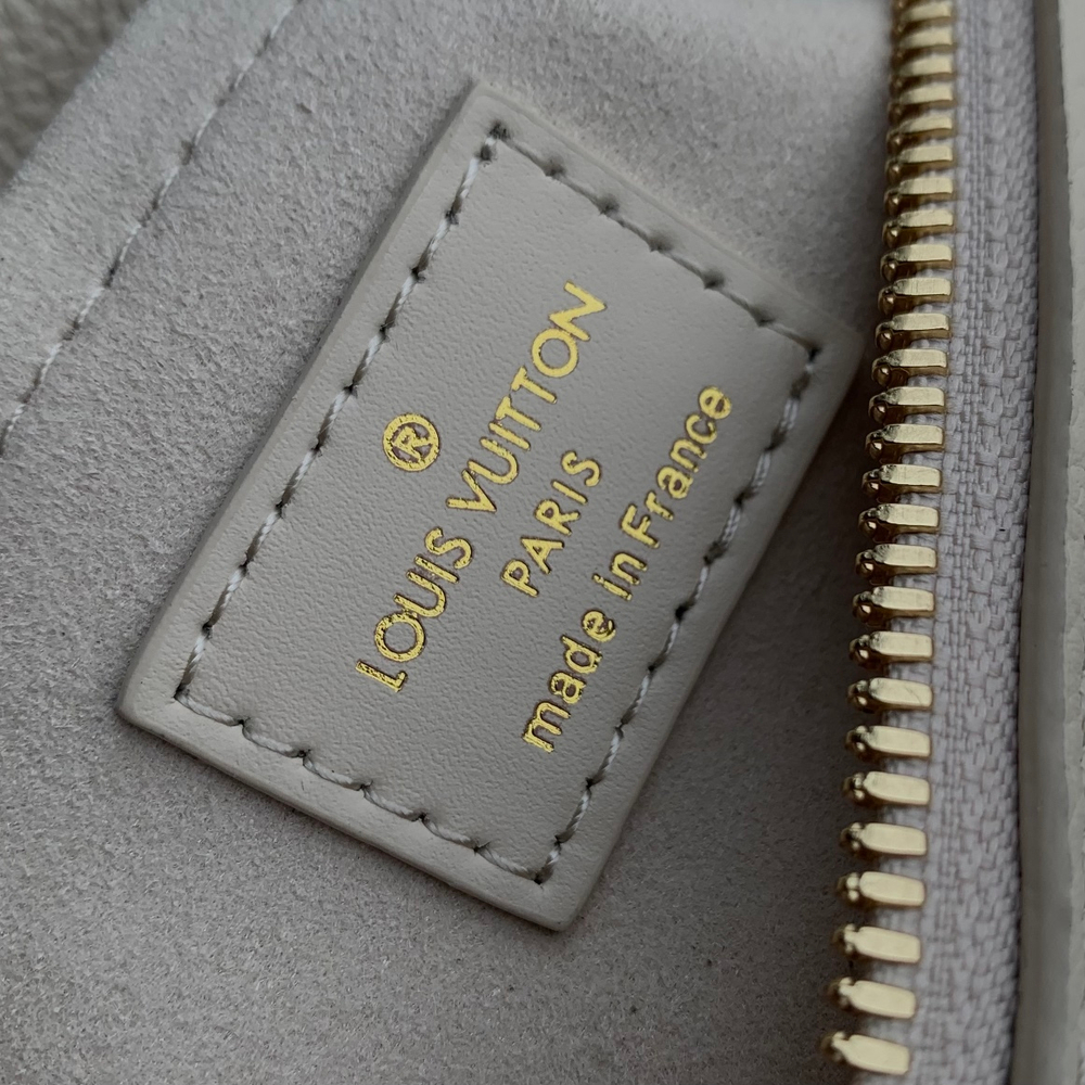 Louis Vuitton Speedy 20