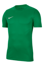 Футболка Nike Dry Park VII SS