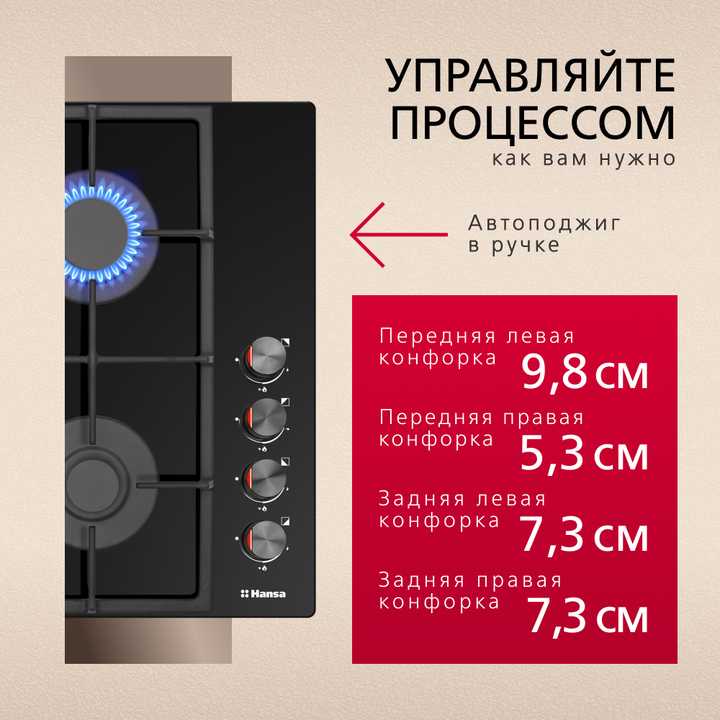 Газовая панель Hansa BHKS620531
