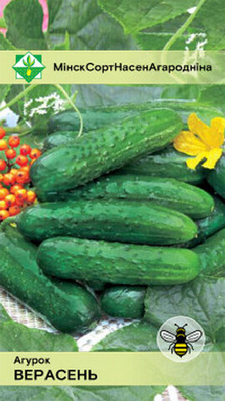 Огурец "Верасень" 0.6г, Молдова.