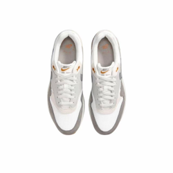 Nike Air Max 1 "Light Iron One"