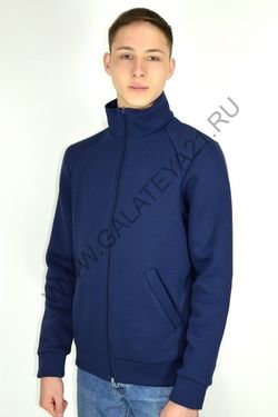 С-1554-1 Толстовка без капюшона / с начёсом