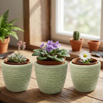 Кашпо Bo mini, зеленый, 8 см, керамика