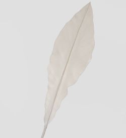 TR 605L Антуриум