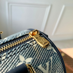Louis Vuitton Speedy 20
