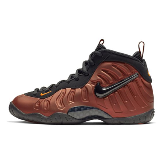 Nike Foamposite Pro Color Shift