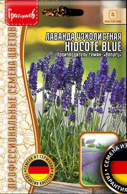 Лаванда узколистная Hidcote Blue