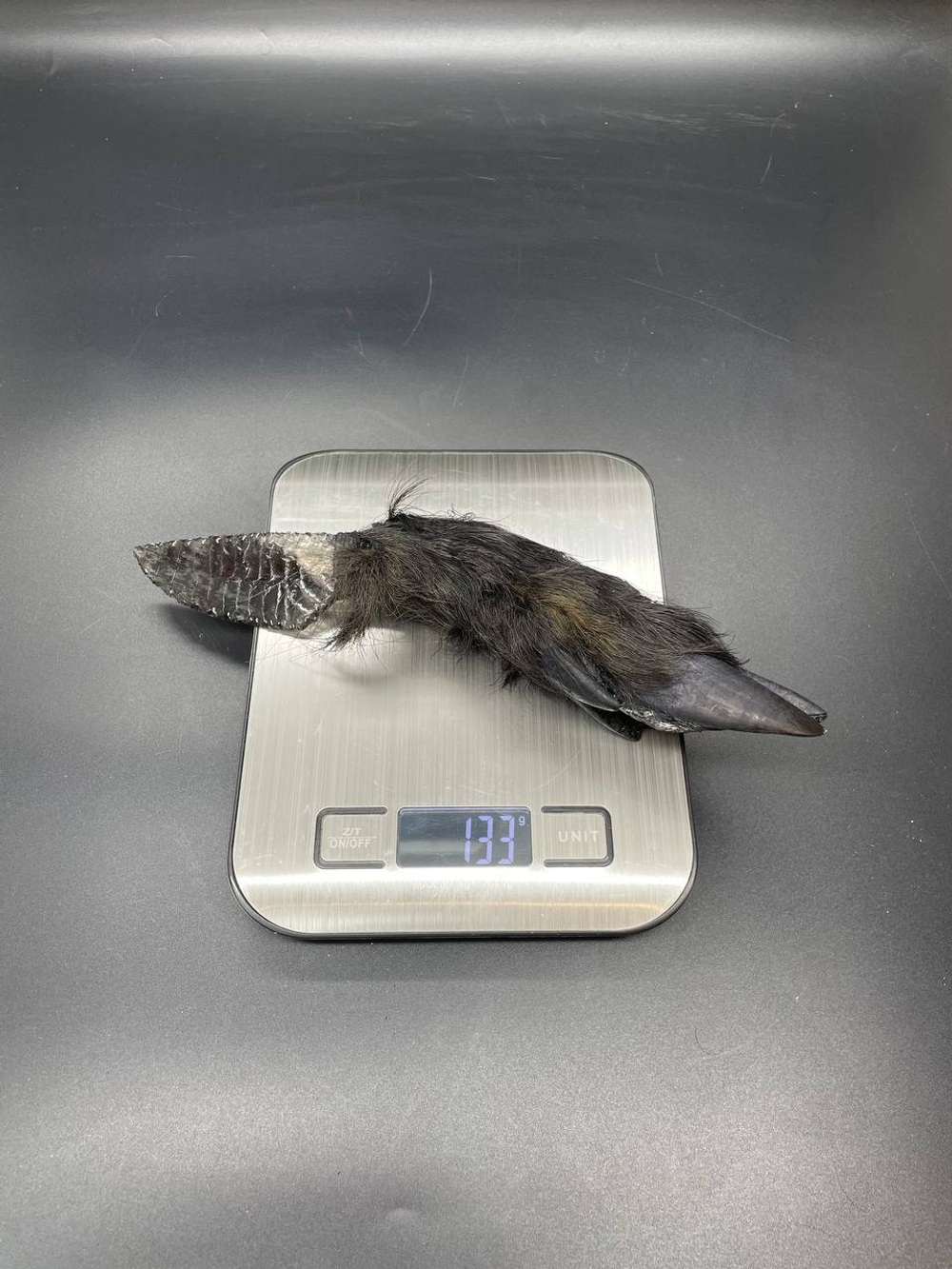 Обсидиановый нож с рукоятью копыта вепря 24 см