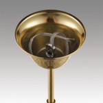 Подвесная люстра Lumion KRISTINA 8243/8