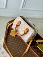 Louis Vuitton Speedy Bandouliere 20