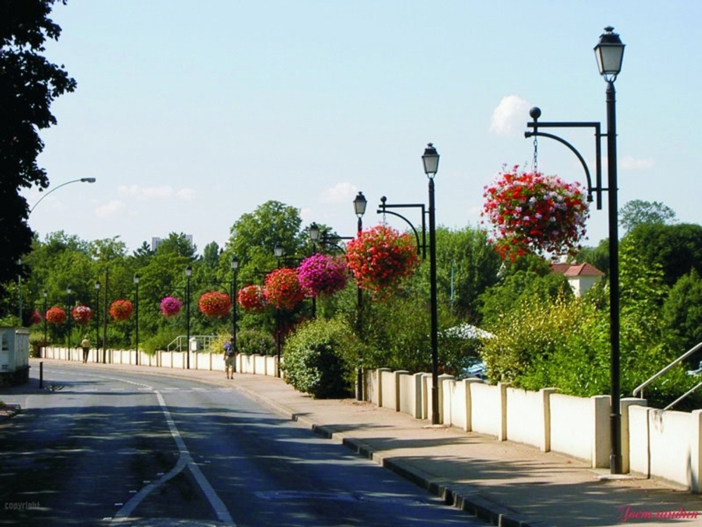 Цветочница Фигурная 2