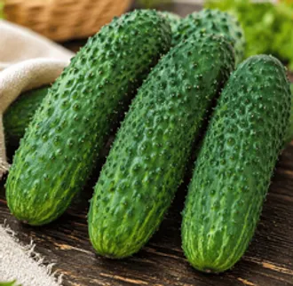 Огурцы колючие БИО / 500 гр