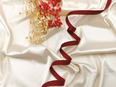 _Бретелечная резинка без фестонов, 10 мм, темно-красный, (Арт: BR640/10-101), м