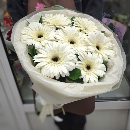 Букет из 7 белых гербер в "облачке"
