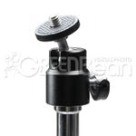 GreenBean GBStand 233.0