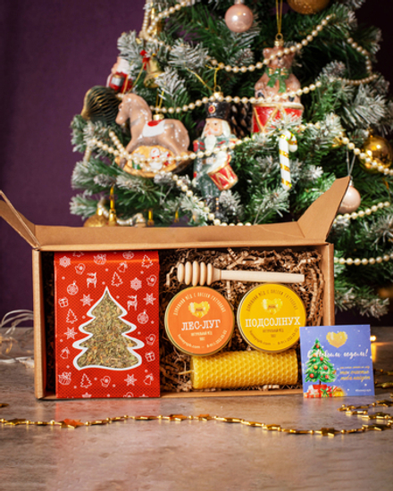 Набор №113 "2 вида мёда + чай + свеча + ложка"