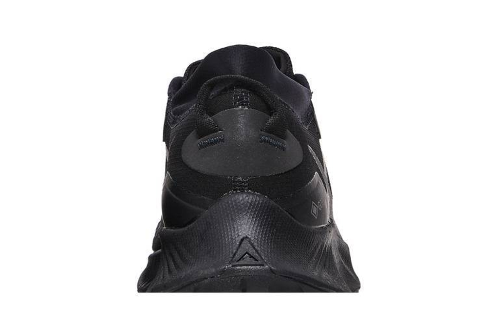 Кроссовки Nike Pegasus Trail 3 Gore-Tex "Black"