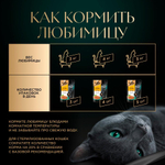 Ломтики Курица и Индейка корм влажный для кошек Sheba 75г