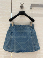 Christian Dior Skirt