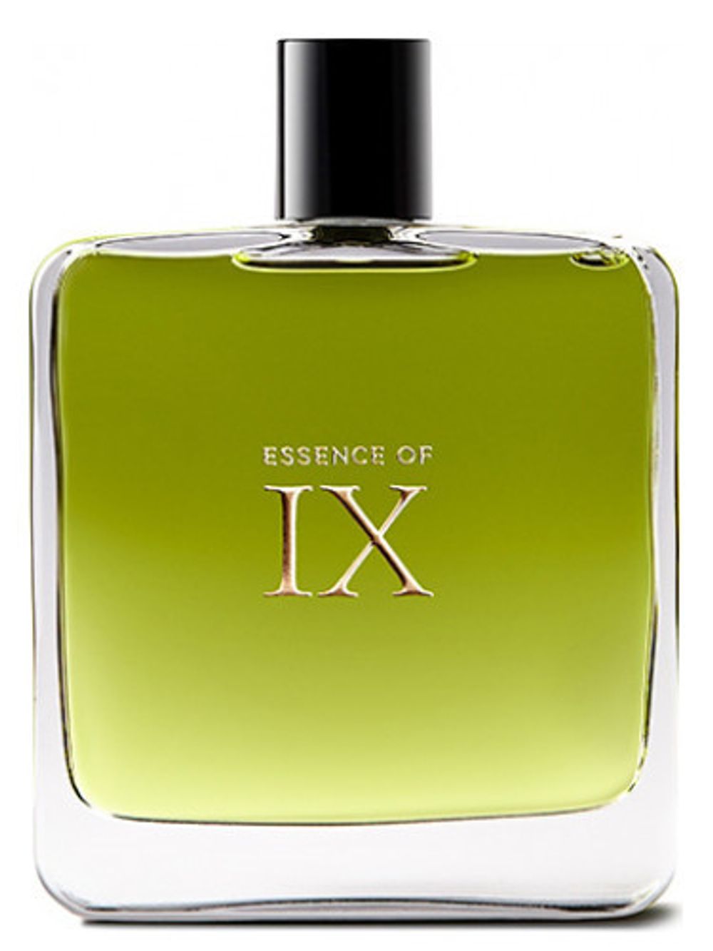 Strange Invisible Perfumes Essence of IX