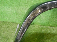 DSCN7445.jpg
