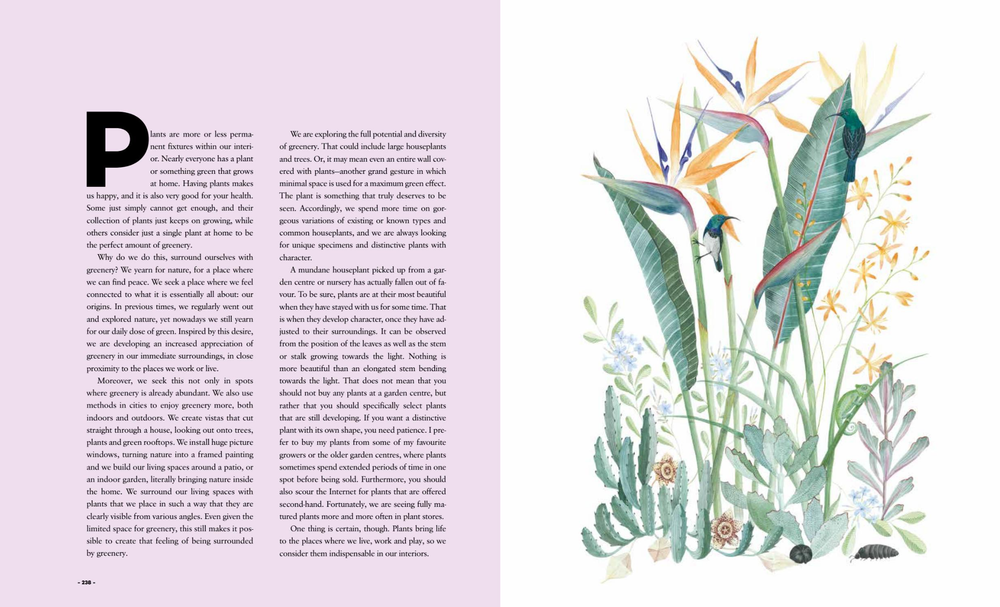 Ultimate Wonder Plants: Your Urban Jungle Interior