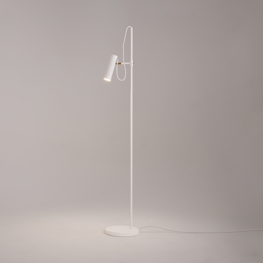 Напольный светильник (торшер) Maytoni MOD129FL-01W