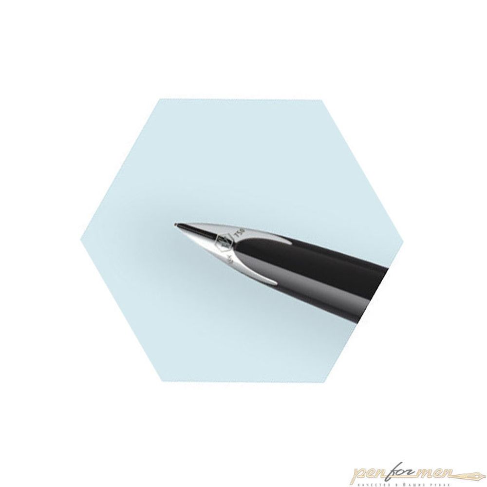 Перьевая ручка Waterman Carene Black Leather черная с пером 18К F (2099564)