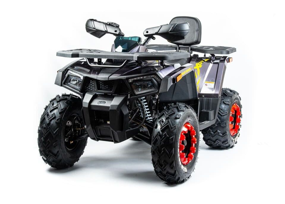 Квадроцикл MOTOLAND 200 WILD TRACK X PRO