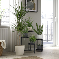 IKEA PERSILLADE  (ИКЕА ПЕРСИЛЛАДЕ)  -  Подставка для посуды, светло-бежевая, 19 см