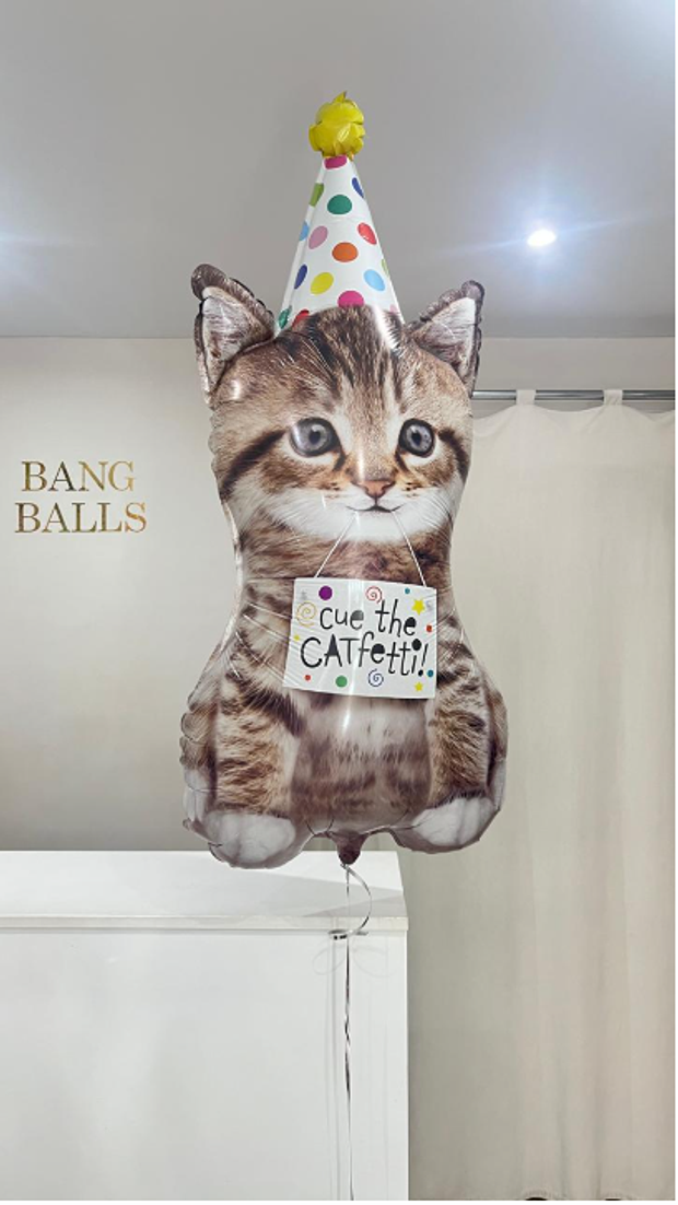 Фигура "Кот в колпаке"