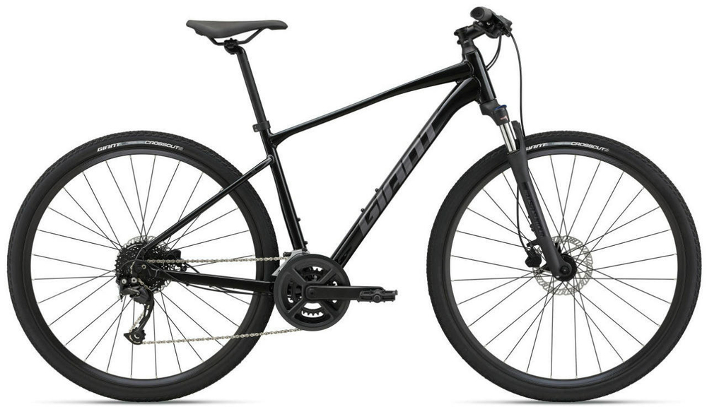 Городской велосипед Giant Roam Disc 2 (2022)