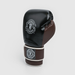 боксерские перчатки HT HardLea Black/Brown