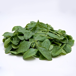 Гелиос F1 семена шпината (Sakata / Саката)