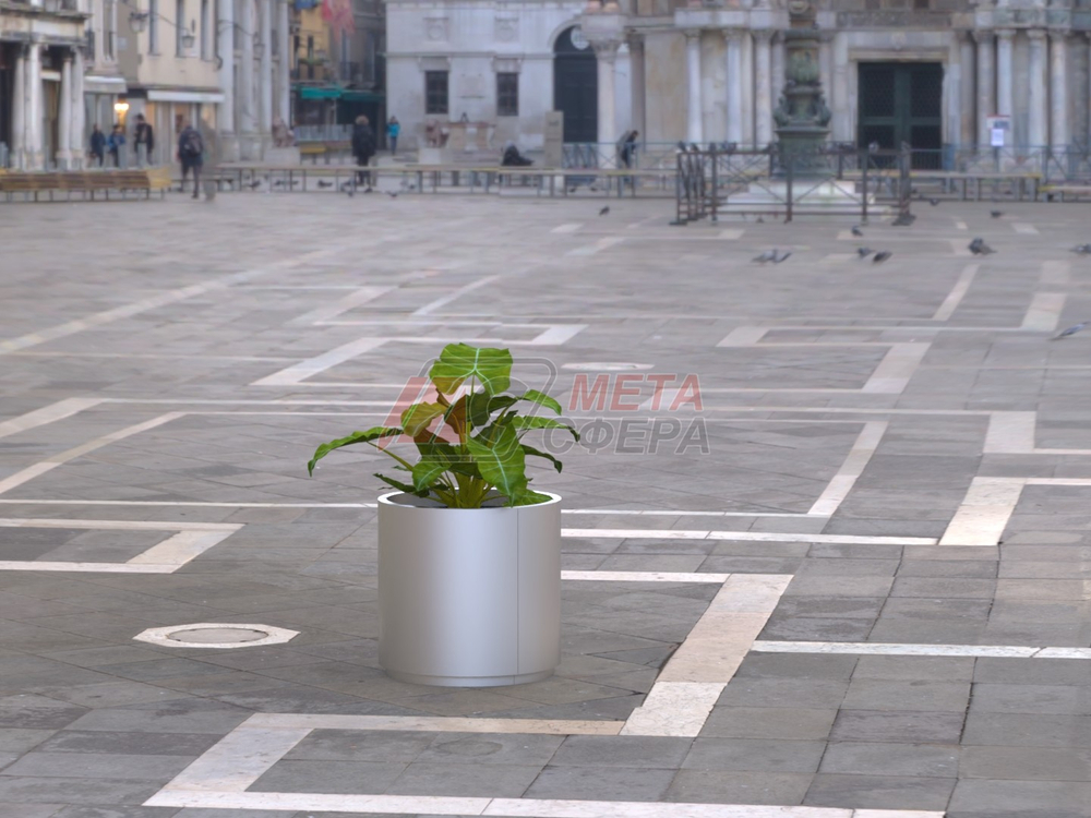 Вазон Глория