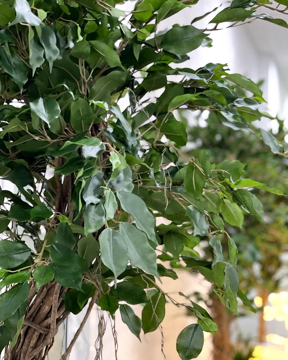 22.01. Озеленение офисного пространства ботаническими копиями растений