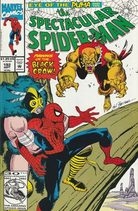 Комикс The Spectacular Spider-Man #191-193 Eye of the puma parts 1-2+1