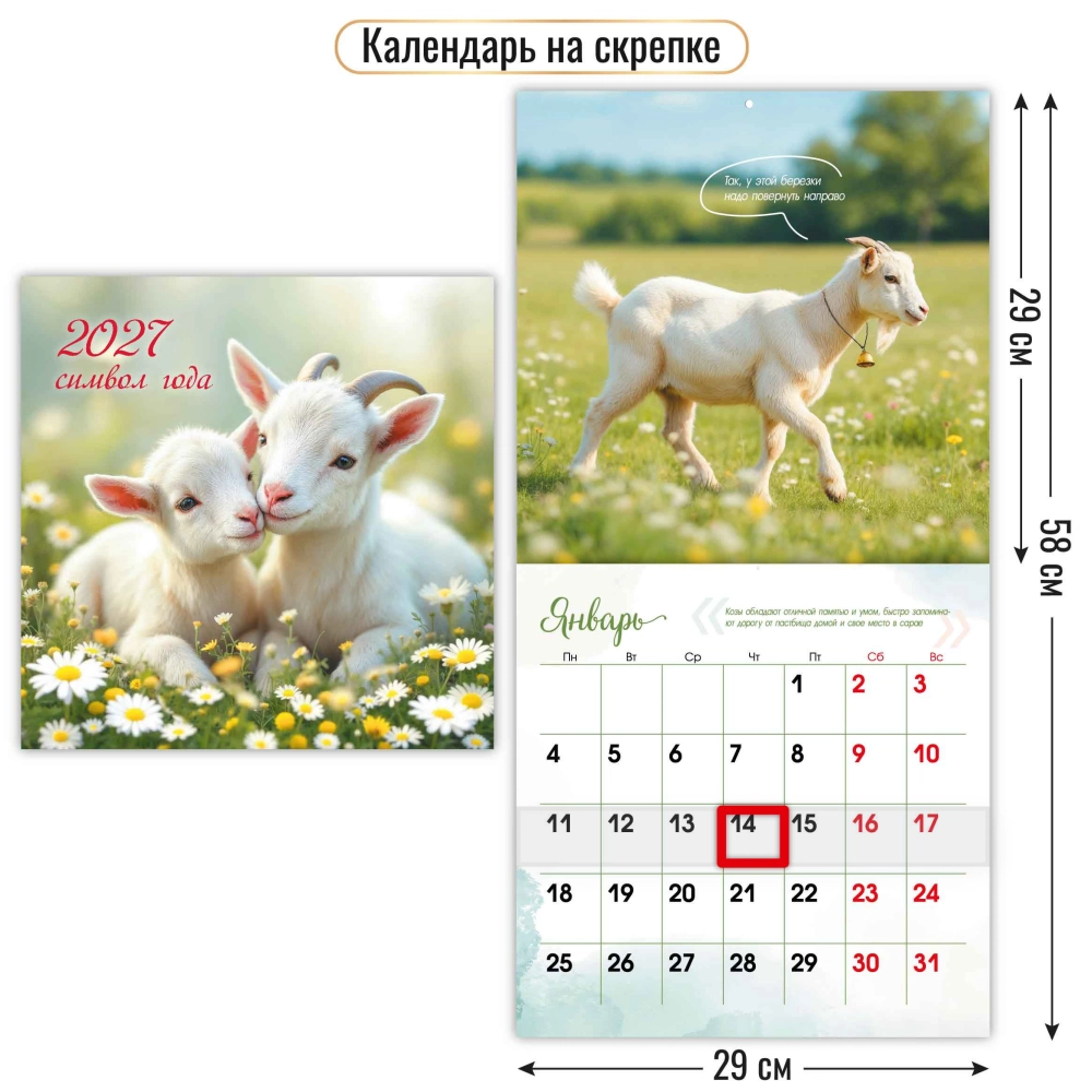 Календарь на скрепке с курсором 290х290 2027 символ года Ромашковое поле