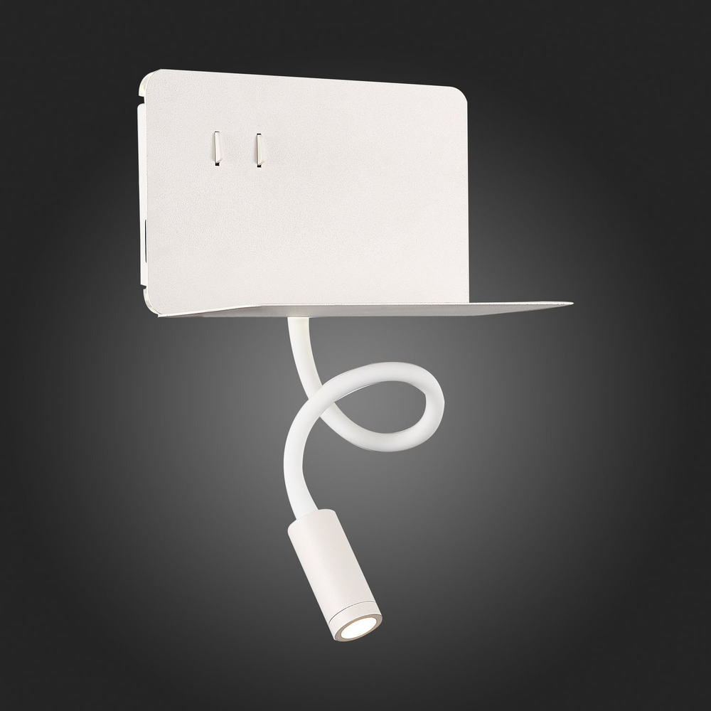 Светильник настенный ST Luce SL1576.501.02