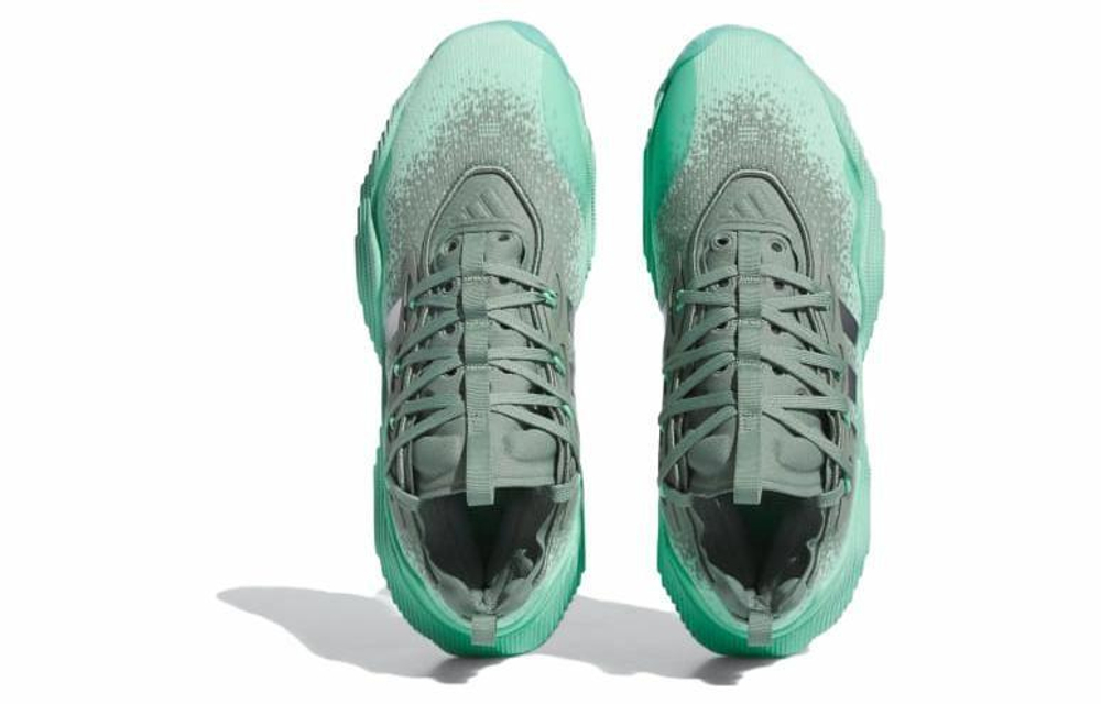 Кроссовки Adidas Trae Young 3.0
